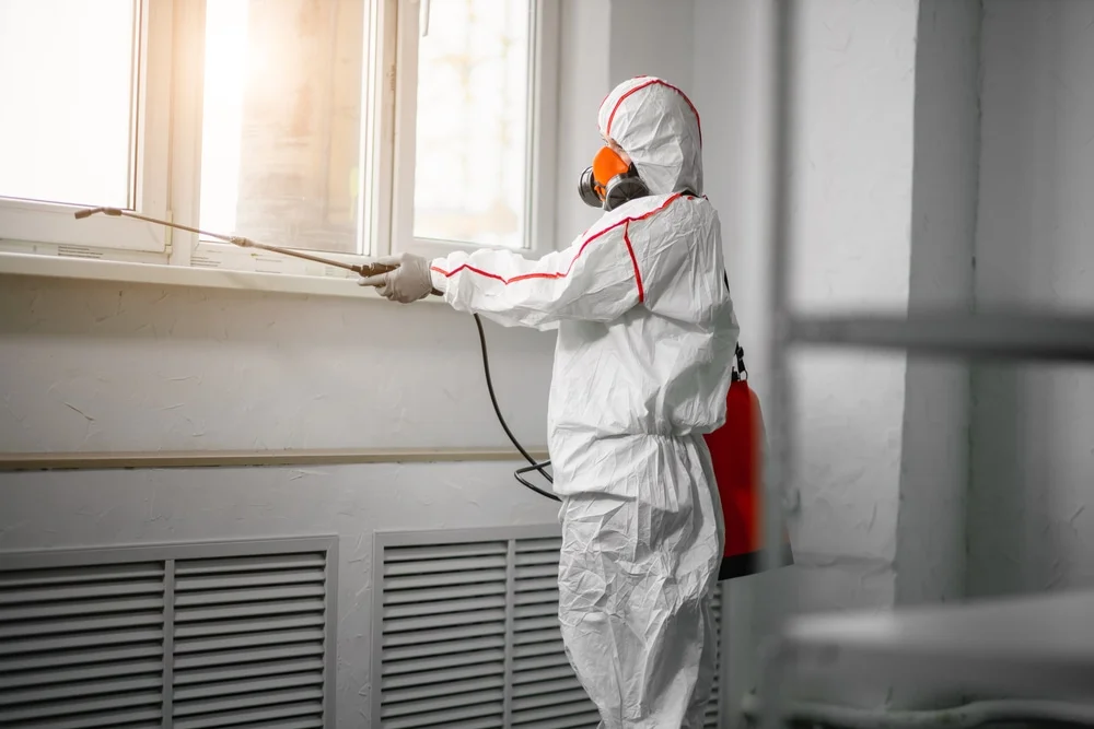 Professional mold remediation services in Tucker, GA